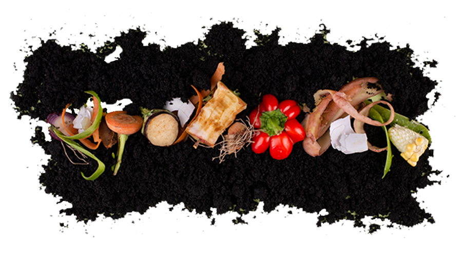 alimentos orgánicos sobre compost